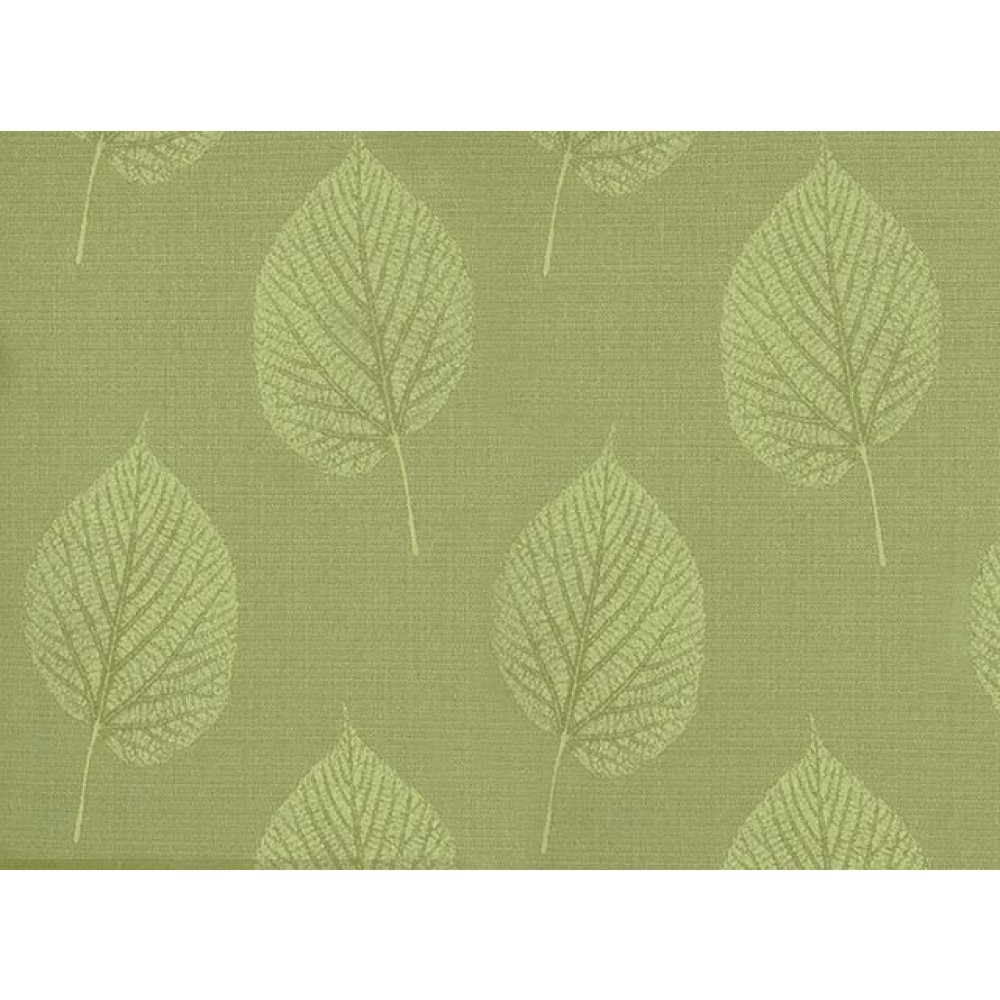Leaf lime 2-2343