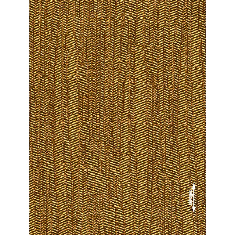 2-4356 Jurassic Gold 