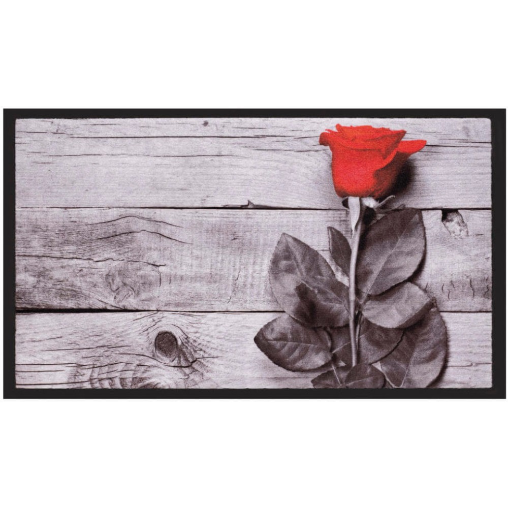 Χαλάκια εισόδου Image 172 rose 45x75cm