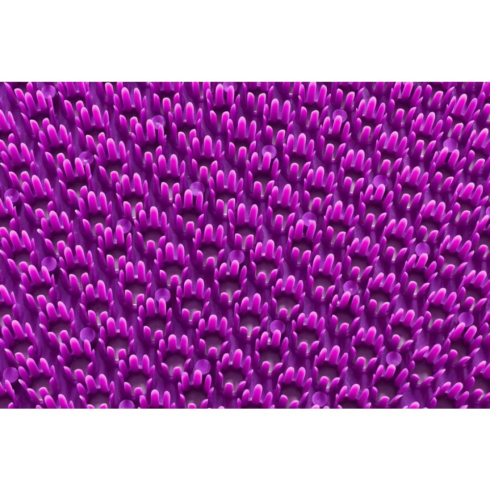 Χαλάκια εισόδου Trendy 077 purple 40x60cm
