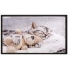 Χαλάκια εισόδου Image 015 teddybear 40x60cm