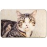 Χαλάκια εισόδου Animal 004 cat 44x75cm